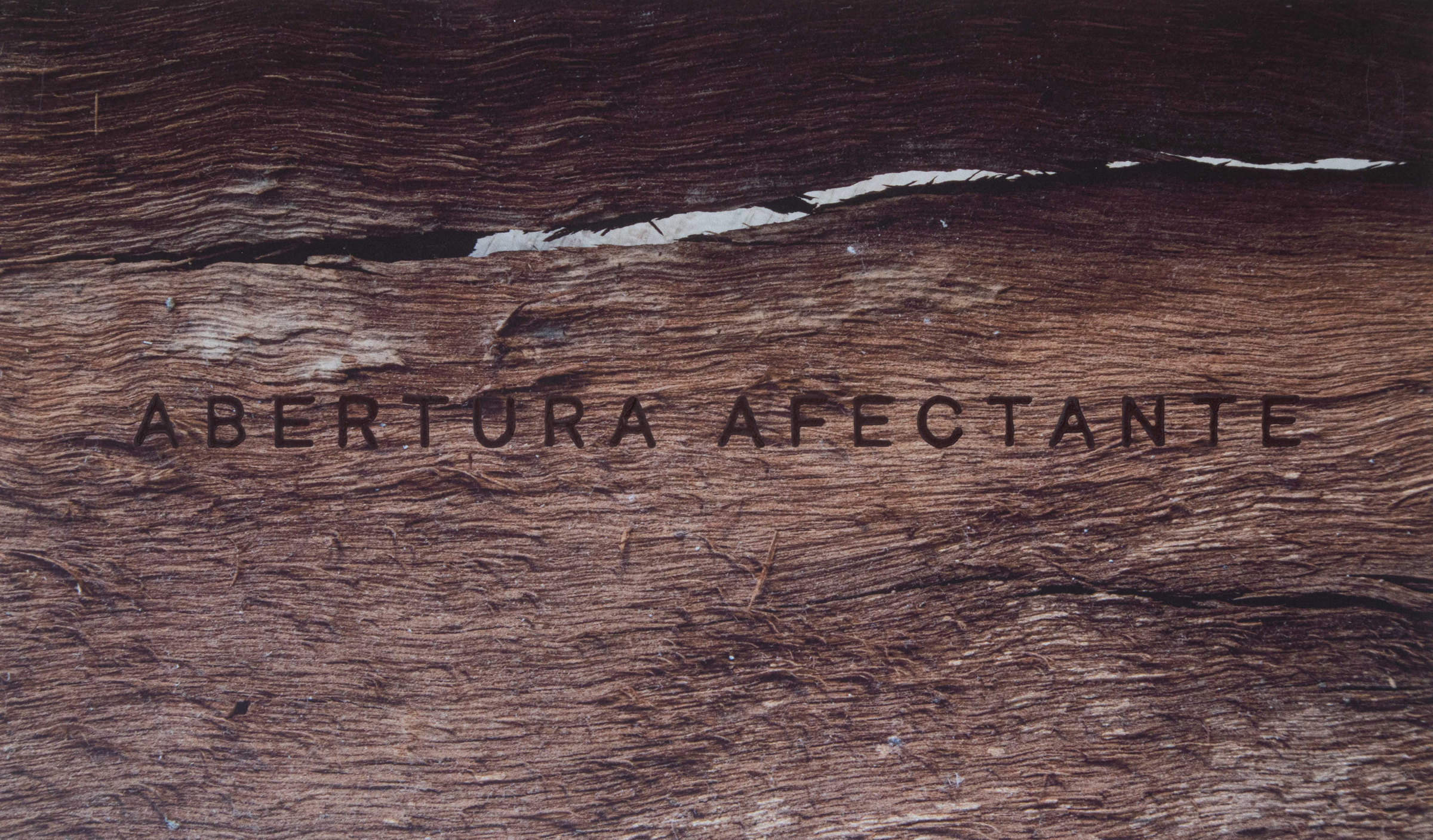 rodolfo-suarez-montesinos-tlaxcala-arte-contemporaneo23
