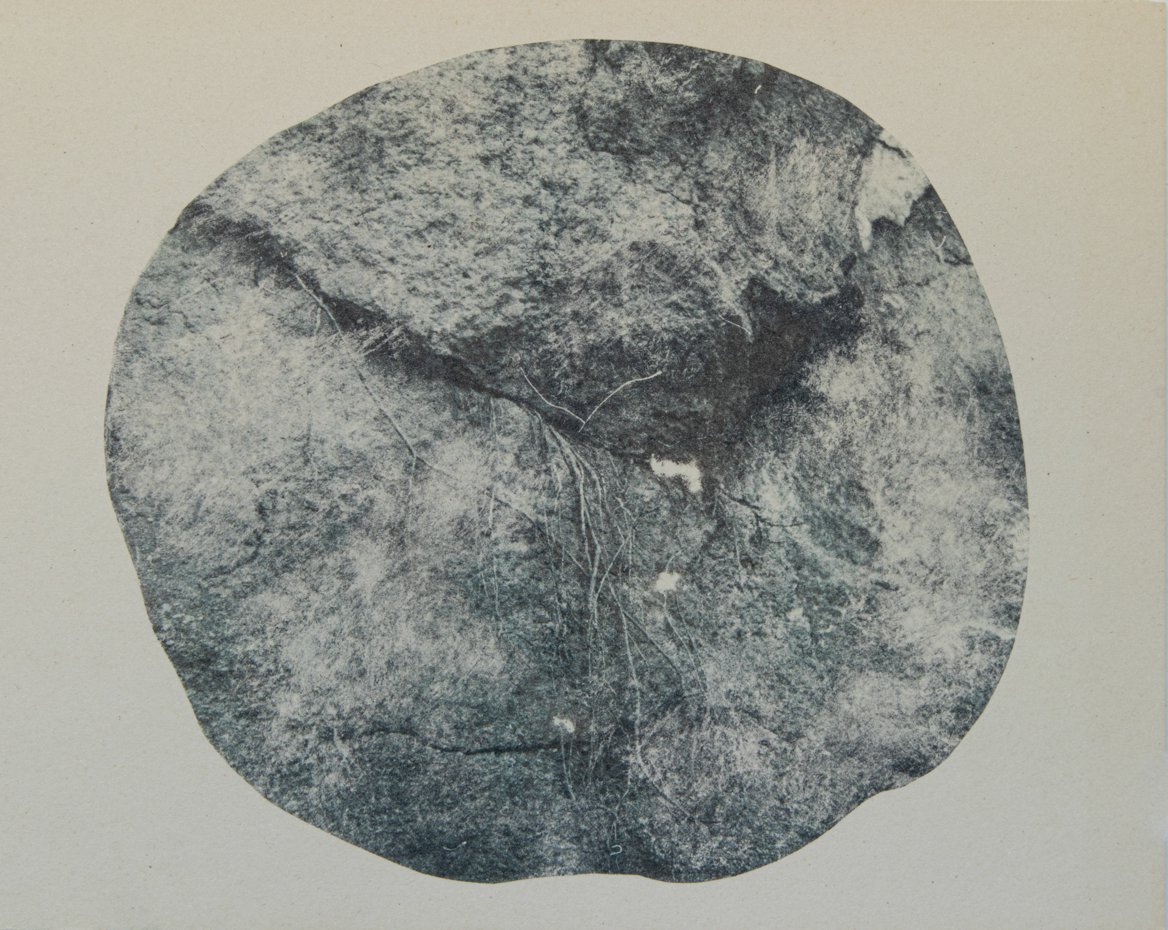 Geoformas pulsantes (2023) Fototransfer sobre papel batería. 21 x 81 cm (tríptico)